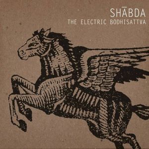 The Electric Bodhisattva