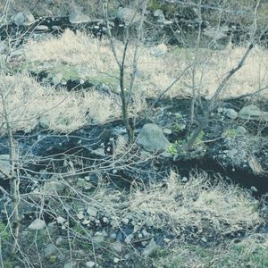 Log_20230216