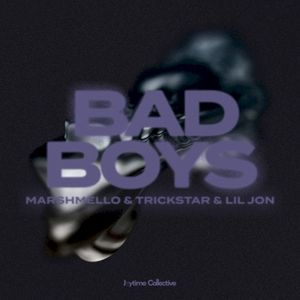 Bad Boys (Single)