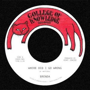 Where Did I Go Wrong b/w Family (Single)