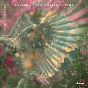 Wings Widespread (Single)
