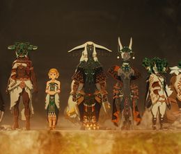 image-https://media.senscritique.com/media/000022750405/0/hyrule_warriors_les_chroniques_du_sceau.jpg