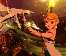 image-https://media.senscritique.com/media/000022750406/0/hyrule_warriors_les_chroniques_du_sceau.jpg