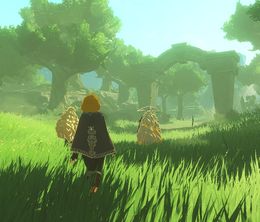 image-https://media.senscritique.com/media/000022750407/0/hyrule_warriors_les_chroniques_du_sceau.jpg