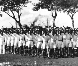 image-https://media.senscritique.com/media/000022754596/0/vichy_dans_les_colonies.webp