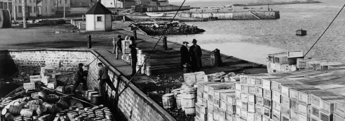 Cover La prohibition américaine, une aubaine française