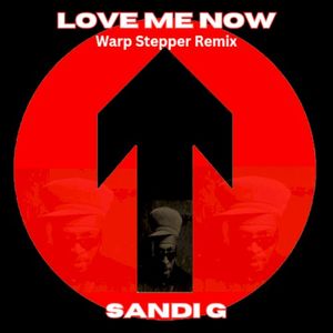 Love Me Now - Warp Stepper Remix (Single)