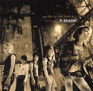Go to the limit / 恋のかけら (Single)