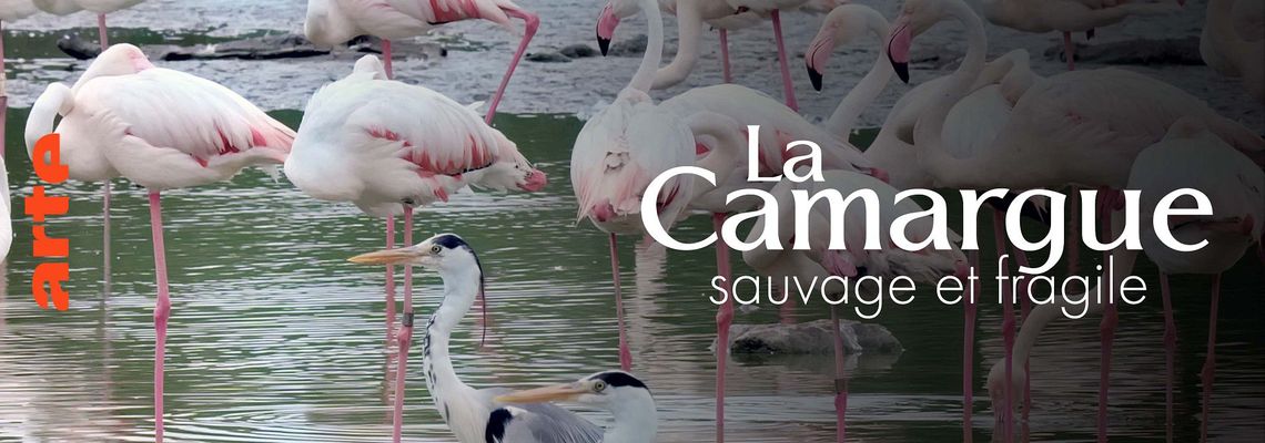 Cover La Camargue, sauvage et fragile
