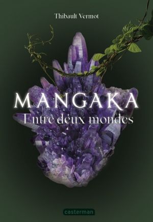 Mangaka tome 2 : entre deux mondes