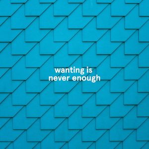 wanting is never enough (Single)