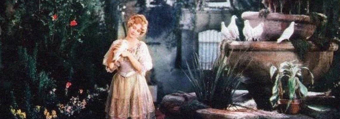 Cover Old San Francisco