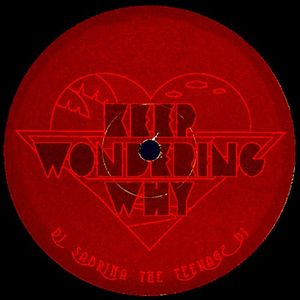 Keep Wondering Why (Single)