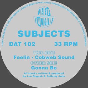 Gonna Be / Feelin / Cobweb Sound (EP)