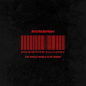 THE WHOLE WORLD IS MY ENEMY