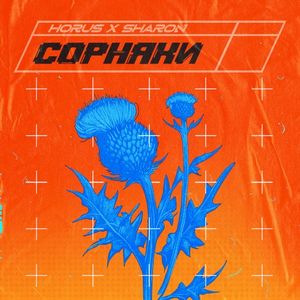 Сорняки (Single)