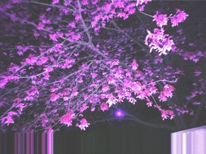 EARLY TAPES (EP)