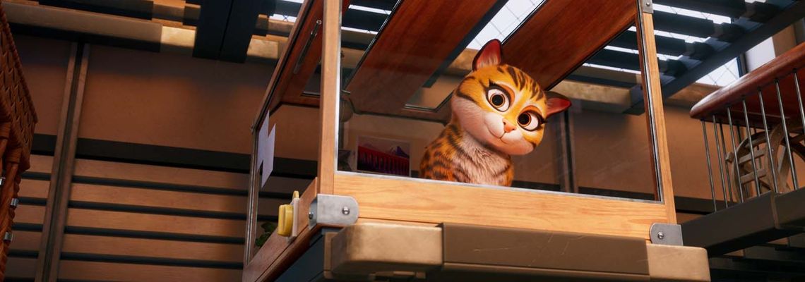 Cover Falcon Express