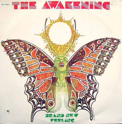 Cover The Awakening