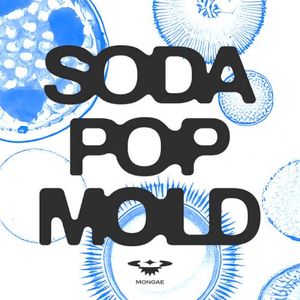 Soda Pop Mold