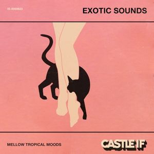 Exotic Sounds