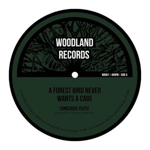 A Forest Bird Never Wants A Cage (Single)