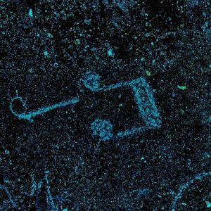 Never Stop Dreaming (Single)
