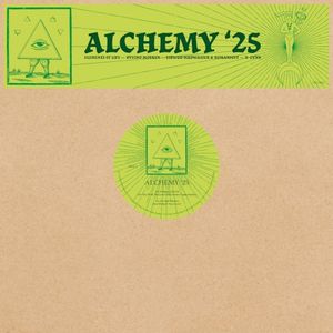 Are You With Me My Love? (Alex From Utopia remix)