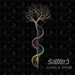 Jungle Spice (EP)