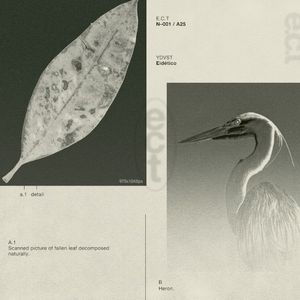 Eidético (EP)