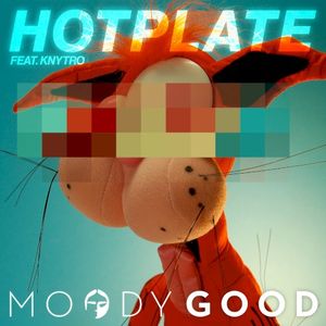 Hotplate (Single)