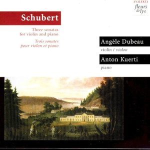 Sonata for Violin and Piano in A minor, D 385: IV. Allegro
