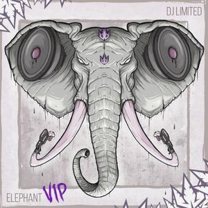 The Elephant (VIP) / You Got (Single)