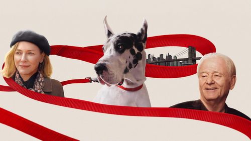 Film de chiens