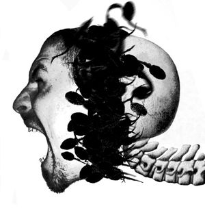Let Them Gnaw Me Apart, And I Love It