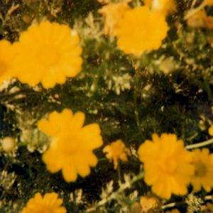mentiras (Single)