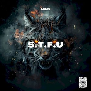 STFU (Single)