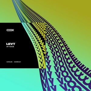 My Voice (Single)