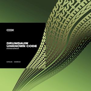 System Error (Single)