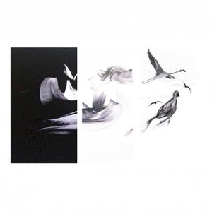 Visions I Lost (EP)