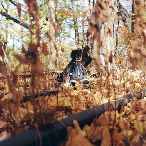 BLK ZMBY (Single)