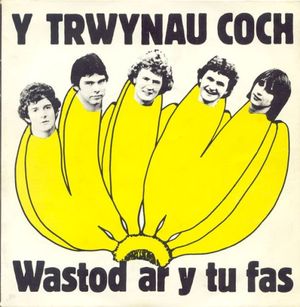 Wastod Ar Y Tu Fas (EP)