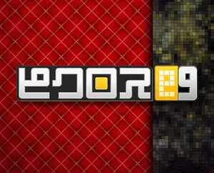 Picross e9