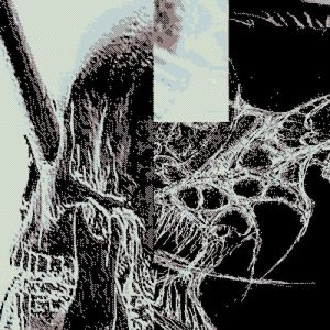 pro-war;non-profit (Single)