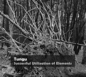 Successful Utilization of Elements