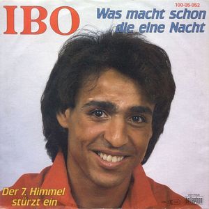 Was macht schon die eine Nacht (Single)