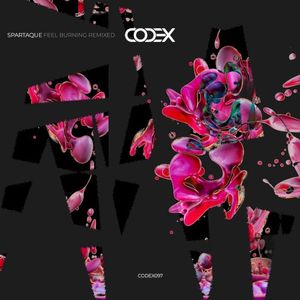 Feel Burning (Karim Alkhayat remix)