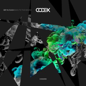 Back to the Sound (Single)