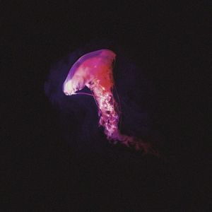 Solace (EP)