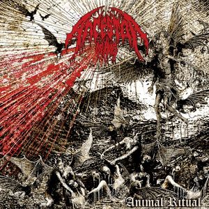 Animal Ritual
